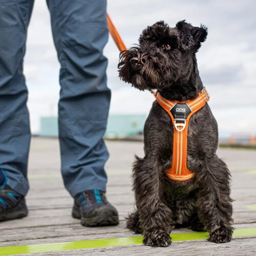 DOG Copenhagen Comfort Walk Air Geschirr 10 DOG Copenhagen Comfort Walk Air Geschirr – Bild 10