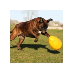 Jolly Egg 10 Jolly Egg -Heimtierbedarf Seri product jolly egg none 4 1496839893 86965