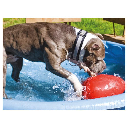 Jolly Egg 6 Jolly Egg – Bild 6