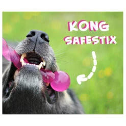 KONG Safestix 6 KONG Safestix -Heimtierbedarf Seri product kong safestix none 4 1458633926 66969