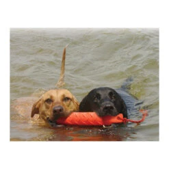 KONG Training Dummy -Heimtierbedarf Seri product kong training dummy none 4 1469627104 71971