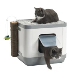 Ausgewählte Produkte 1 Moderna Cat Concept