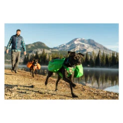 Ruffwear Approach Pack 21 Ruffwear Approach Pack -Heimtierbedarf Seri product ruffwear approach pack none 4 1489677652 84736