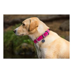 Ruffwear Headwater Collar -Heimtierbedarf Seri product ruffwear headwater collar none 4 1487775433 83755