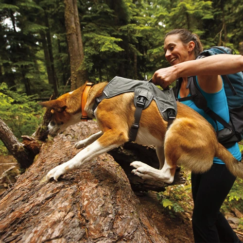 Ruffwear Webmaster Harness 20 Ruffwear Webmaster Harness – Bild 20