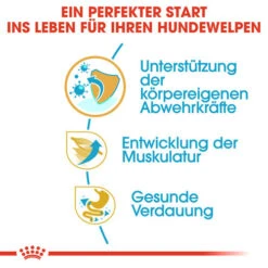 Royal Canin Boxer Puppy - Hundefutter 9 Royal Canin Boxer Puppy - Hundefutter -Heimtierbedarf Seri royal canin boxer puppy hondenvoer 137482 0500 none