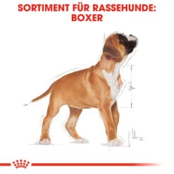 Royal Canin Boxer Puppy - Hundefutter 11 Royal Canin Boxer Puppy - Hundefutter -Heimtierbedarf Seri royal canin boxer puppy hondenvoer 137491 0500 none