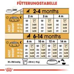 Royal Canin Boxer Puppy - Hundefutter 14 Royal Canin Boxer Puppy - Hundefutter -Heimtierbedarf Seri royal canin boxer puppy hondenvoer 137500 0500 none