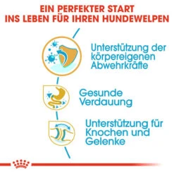 Royal Canin Bulldog Puppy - Hundefutter 9 Royal Canin Bulldog Puppy - Hundefutter -Heimtierbedarf Seri royal canin bulldog puppy hondenvoer 137803 0500 none