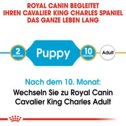 Royal Canin Cavalier King Charles Puppy - Hundefutter -Heimtierbedarf Seri royal canin cavalier king charles puppy hondenvoer 137905 0500 none