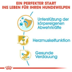 Royal Canin Cavalier King Charles Puppy - Hundefutter -Heimtierbedarf Seri royal canin cavalier king charles puppy hondenvoer 137923 0500 none