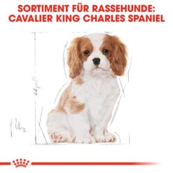 Royal Canin Cavalier King Charles Puppy - Hundefutter -Heimtierbedarf Seri royal canin cavalier king charles puppy hondenvoer 137932 0500 none