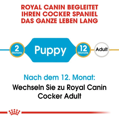 Royal Canin Cocker Puppy - Hundefutter 5 Royal Canin Cocker Puppy - Hundefutter – Bild 5