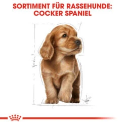 Royal Canin Cocker Puppy - Hundefutter 11 Royal Canin Cocker Puppy - Hundefutter -Heimtierbedarf Seri royal canin cocker puppy hondenvoer 138226 0500 none