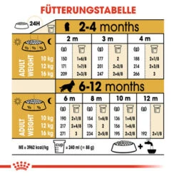 Royal Canin Cocker Puppy - Hundefutter 14 Royal Canin Cocker Puppy - Hundefutter -Heimtierbedarf Seri royal canin cocker puppy hondenvoer 138235 0500 none