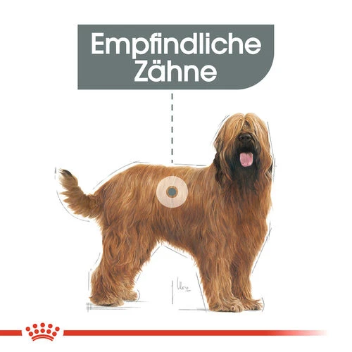 Royal Canin Maxi Dental Care - Hundefutter 3 Royal Canin Maxi Dental Care - Hundefutter – Bild 3