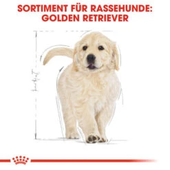 Royal Canin Golden Retriever Puppy - Hundefutter 11 Royal Canin Golden Retriever Puppy - Hundefutter -Heimtierbedarf Seri royal canin golden retriever puppy hondenvoer 138958 0500 none