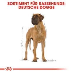 Royal Canin Great Dane Adult - Hundefutter -Heimtierbedarf Seri royal canin great dane adult hondenvoer 138994 0500 none