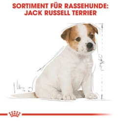 Royal Canin Jack Russell Terrier Puppy - Hundefutter -Heimtierbedarf Seri royal canin jack russell terrier puppy hondenvoer 139318 0500 none