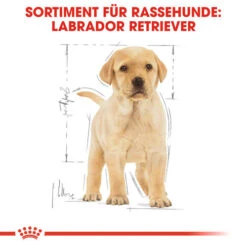 Royal Canin Labrador Retriever Puppy - Hundefutter -Heimtierbedarf Seri royal canin labrador retriever puppy hondenvoer 139438 0500 none