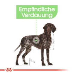 Royal Canin Maxi Digestive Care - Hundefutter 11 Royal Canin Maxi Digestive Care - Hundefutter -Heimtierbedarf Seri royal canin maxi digestive care hondenvoer 132482 0500 none