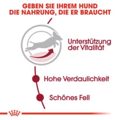 Royal Canin Medium Adult 7+ - Hundefutter -Heimtierbedarf Seri royal canin medium adult 7 hondenvoer 128486 0500 none