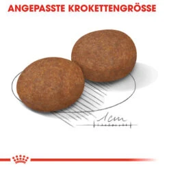 Royal Canin Medium Adult 7+ - Hundefutter -Heimtierbedarf Seri royal canin medium adult 7 hondenvoer 128495 0500 none