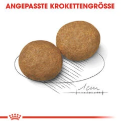 Royal Canin Medium Adult - Hundefutter 12 Royal Canin Medium Adult - Hundefutter -Heimtierbedarf Seri royal canin medium adult hondenvoer 128546 0500 none