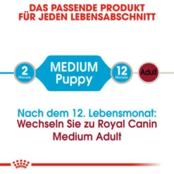 Royal Canin Medium Puppy Wet 12 Royal Canin Medium Puppy Wet -Heimtierbedarf Seri royal canin medium puppy wet 129245 0500 none