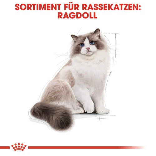 Royal Canin Ragdoll Adult - Katzenfutter 4 Royal Canin Ragdoll Adult - Katzenfutter – Bild 4