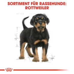 Royal Canin Rottweiler Puppy - Hundefutter 11 Royal Canin Rottweiler Puppy - Hundefutter -Heimtierbedarf Seri royal canin rottweiler puppy hondenvoer 140029 0500 none
