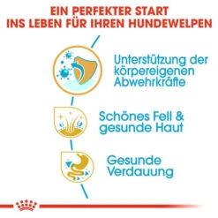 Royal Canin Shih Tzu Puppy - Hundefutter 9 Royal Canin Shih Tzu Puppy - Hundefutter -Heimtierbedarf Seri royal canin shih tzu junior hondenvoer 140402 0500 none