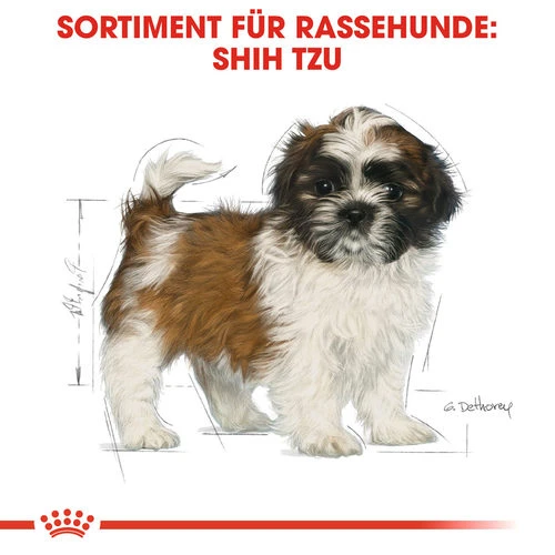 Royal Canin Shih Tzu Puppy - Hundefutter 4 Royal Canin Shih Tzu Puppy - Hundefutter – Bild 4