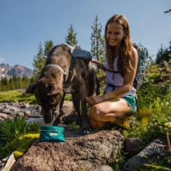 Ruffwear Flat Out Dog Collar - Alpenglow Burst 7 Ruffwear Flat Out Dog Collar - Alpenglow Burst -Heimtierbedarf Seri ruffwear flat out dog collar alpenglow burst 204812 0500 none