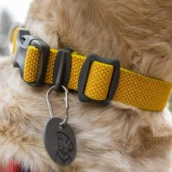Ruffwear Hi & Light Halsband -Heimtierbedarf Seri ruffwear hi light collar 194258 0500 none