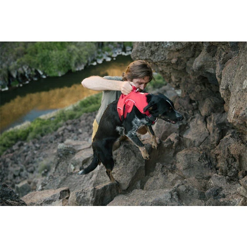 Ruffwear Webmaster Harness 18 Ruffwear Webmaster Harness – Bild 18