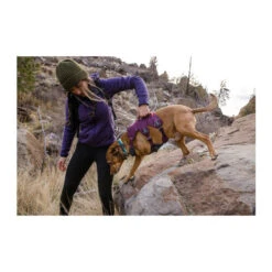 Ruffwear Webmaster Harness 28 Ruffwear Webmaster Harness -Heimtierbedarf Seri ruffwear webmaster harness 217109 0500 none