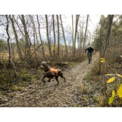 Ruffwear Webmaster Harness 32 Ruffwear Webmaster Harness -Heimtierbedarf Seri ruffwear webmaster harness 217113 0500 none