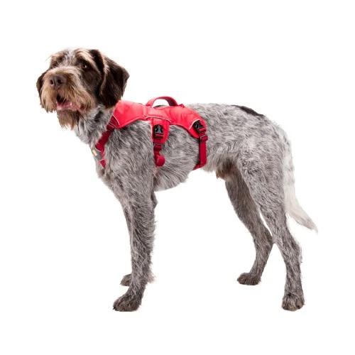 Ruffwear Webmaster Harness 17 Ruffwear Webmaster Harness – Bild 17