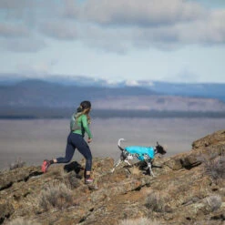 Ruffwear Wind Sprinter Jacket -Heimtierbedarf Seri ruffwear wind sprinter jacket 124694 0500 none