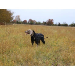 RukkaPets Protect Overall -Heimtierbedarf Seri rukkapets protect overall zwart 216401 0500 none