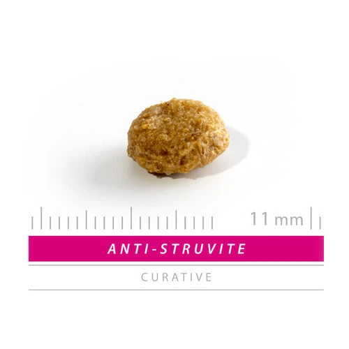 SANIMED Anti Struvite Dog 2 SANIMED Anti Struvite Dog – Bild 2
