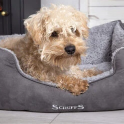 Scruffs Cosy Box Bett -Heimtierbedarf Seri scruffs cosy box bed 209483 0500 none