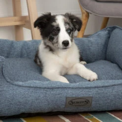 Scruffs Manhattan Box Bett -Heimtierbedarf Seri scruffs manhattan box bed 209507 0500 none