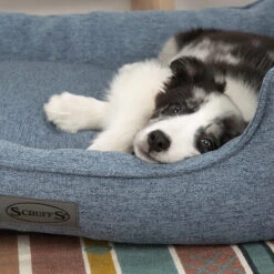 Scruffs Manhattan Box Bett -Heimtierbedarf Seri scruffs manhattan box bed 209510 0500 none