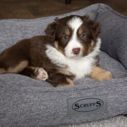 Scruffs Manhattan Box Bett -Heimtierbedarf Seri scruffs manhattan box bed 209513 0500 none