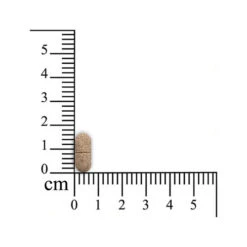 Sensipharm Inconti Stop Hund -Heimtierbedarf Seri sensipharm inconti stop hond 174532 0500 none