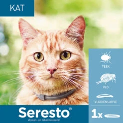 Seresto Für Katzen 5 Seresto Für Katzen -Heimtierbedarf Seri seresto kat 182296 0500 none