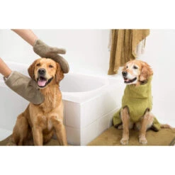 Siccaro DryGlove 5 Siccaro DryGlove -Heimtierbedarf Seri siccaro dryglove 196901 0500 none