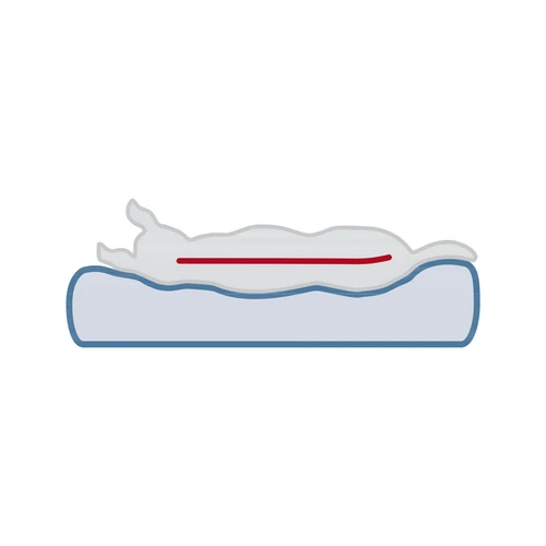 Trixie Vital Orthopädische Matratze Lonni 10 Trixie Vital Orthopädische Matratze Lonni – Bild 10